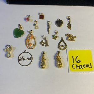Lot of 16 Pendants / Charms